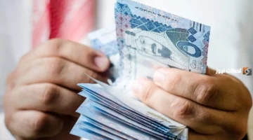 رسائل الدفعة صفر.. حساب المواطن يوضح دلالات نتائج الأهلية الجديدة للمستفيدين بمنصة البرنامج